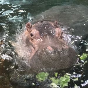 Meet your Posher, Kristen